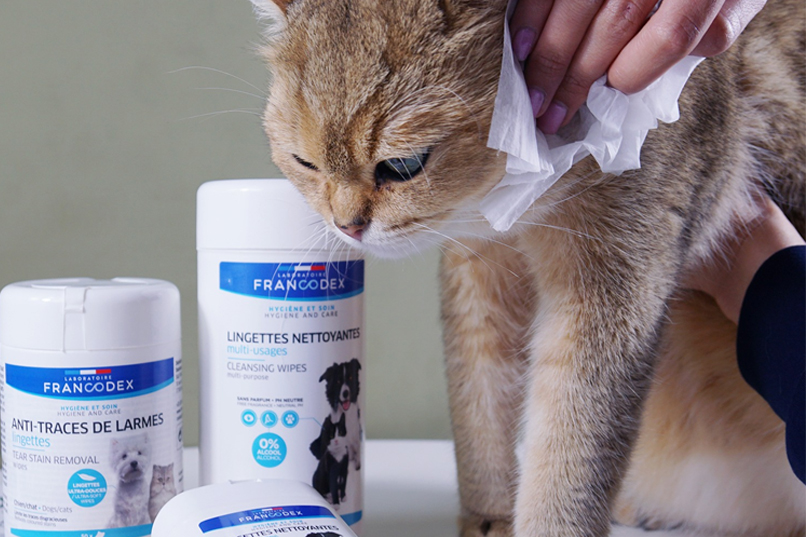 Your Cat’s Personal Health Specialist Brand: Francodex